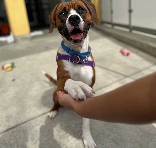 Photo of Kleo