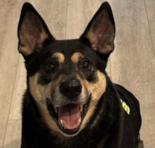 Photo of Parker