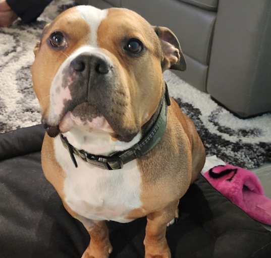 Photo of Tank