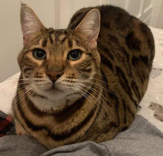 Photo of Max
