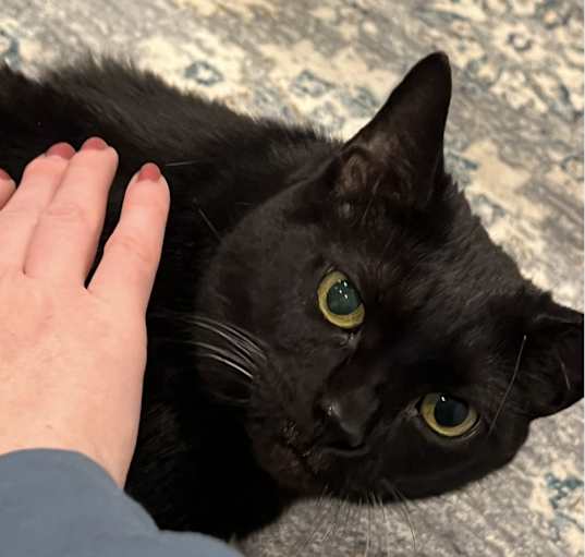 Photo of Pepper