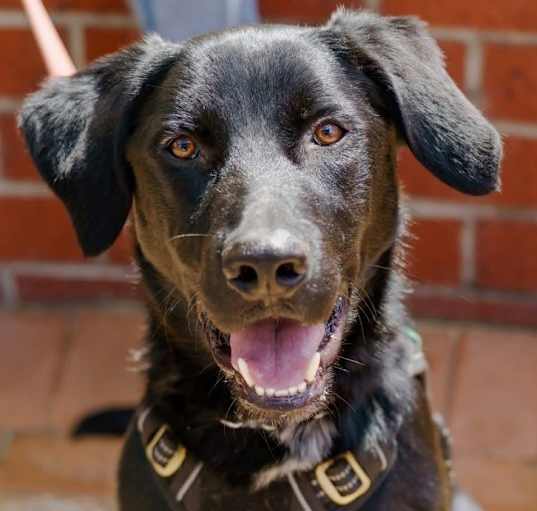 Photo of Barney "Ace