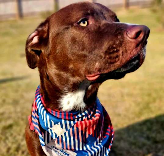 Photo of Clyde