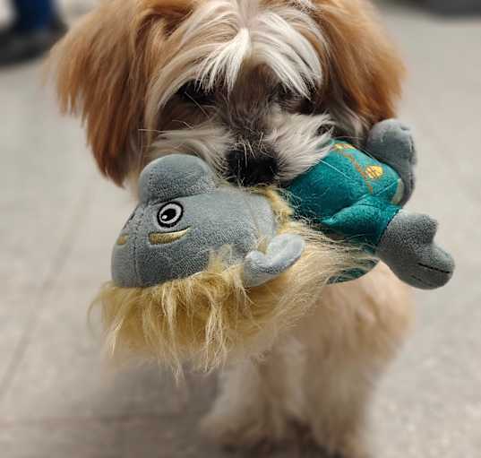 Photo of Maxwell
