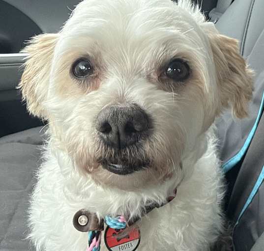 Photo of Max