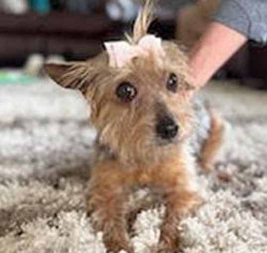 Photo of Abby