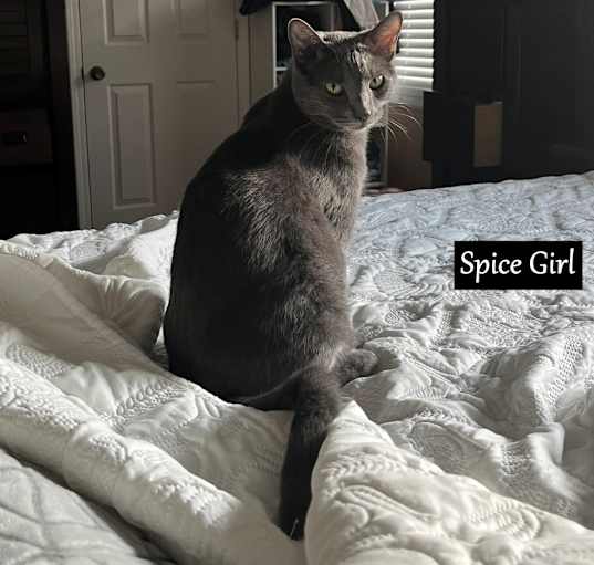 Photo of Spice Girl