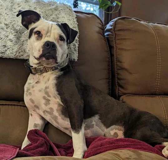 Photo of Grace (Stacey)