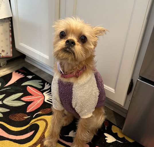 Photo of Lola