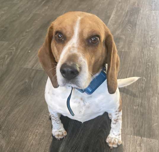 Photo of Benny