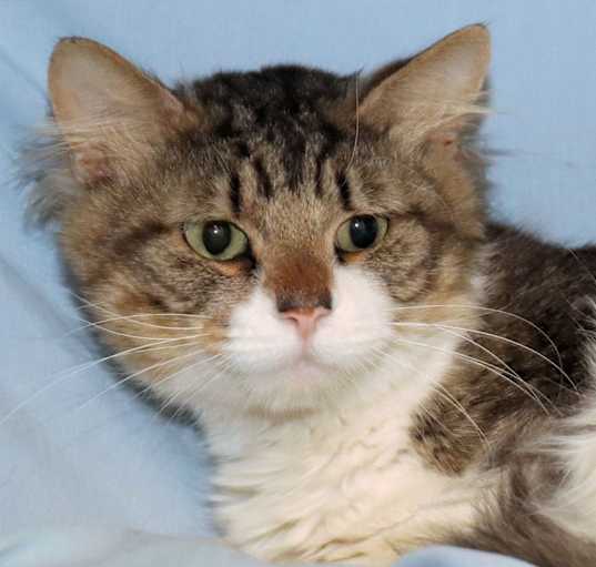 Photo of Jasper