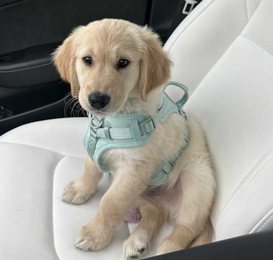 Photo of Charlie
