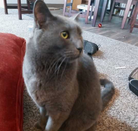 Photo of Edmund