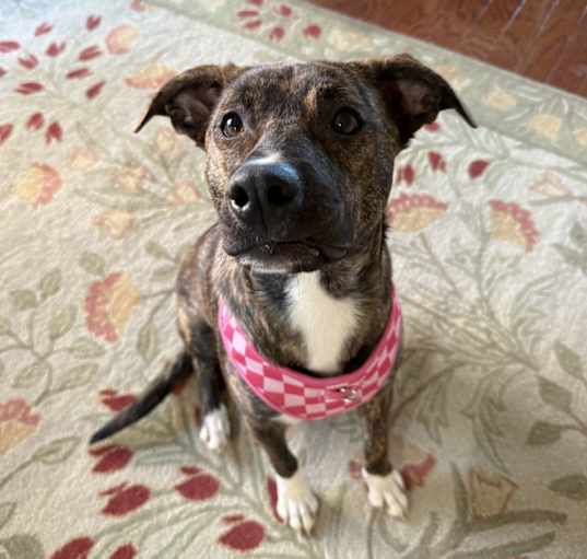 Photo of Fiona