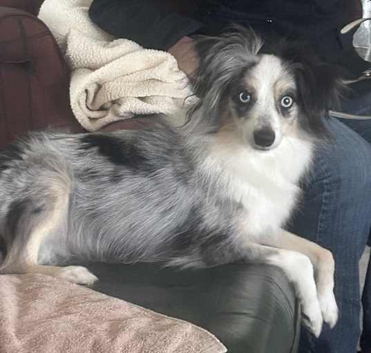 Photo of Chase
