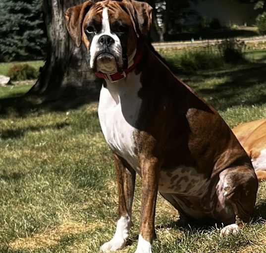 Photo of Hattie Mae