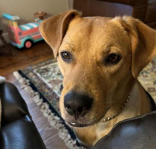 Photo of Rita