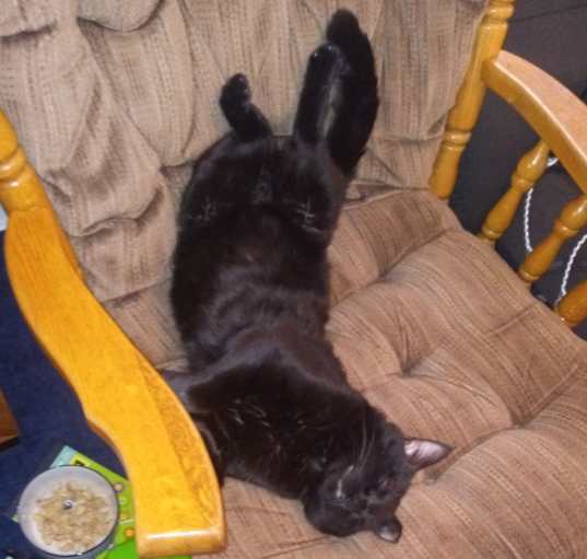 Photo of Coal