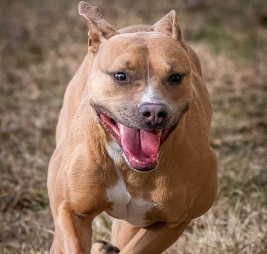 Photo of Faith