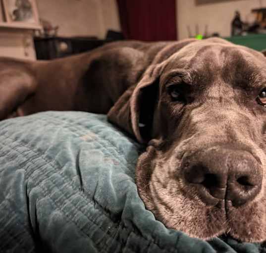 Photo of Gandalf