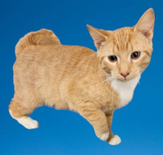 Photo of Frankie Ray
