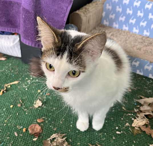 Photo of Luna
