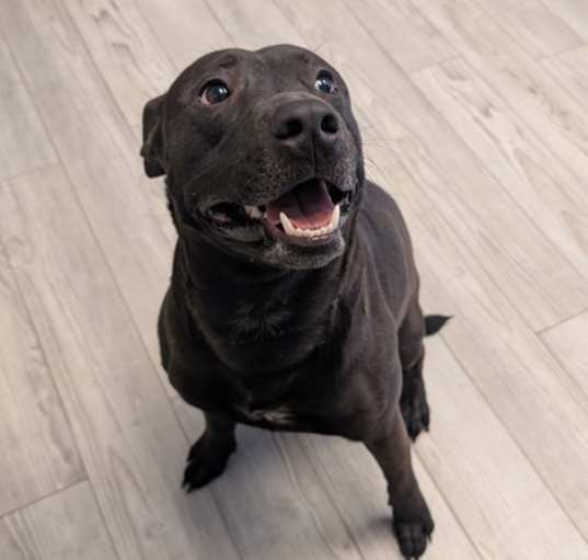 Photo of Cash