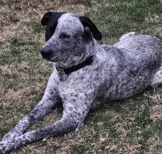 Photo of Baby