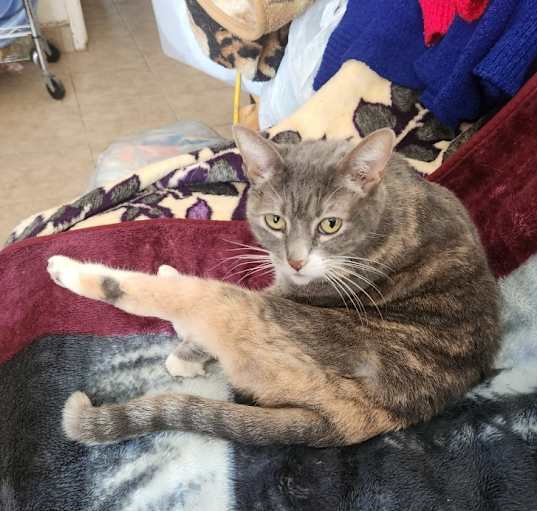 Photo of Molly