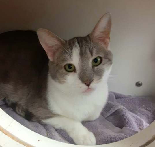 Photo of Midge 29