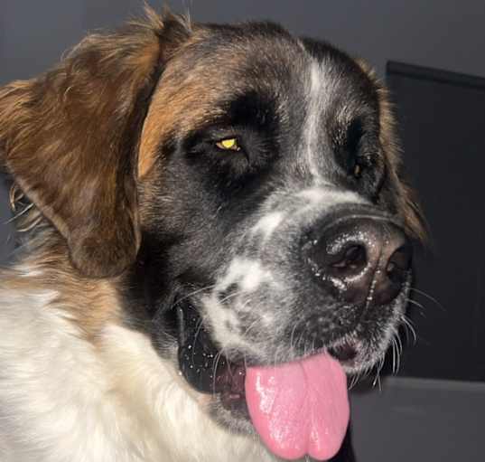 Photo of Hercules