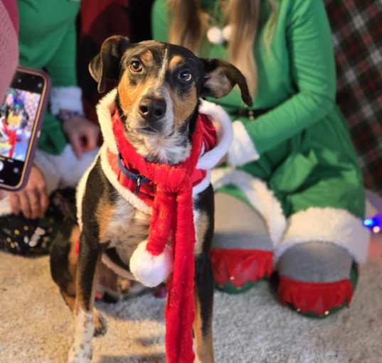 Photo of Murphy