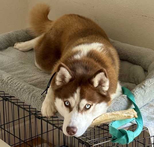 Photo of Chloe