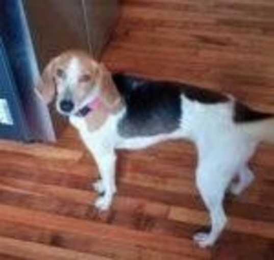 Photo of Molly
