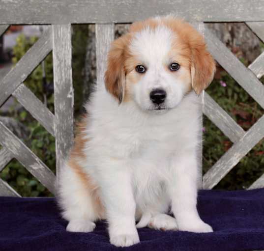 Photo of Martha