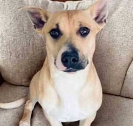 Photo of Merry