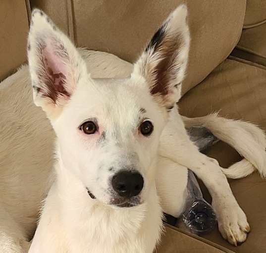 Photo of Sammie