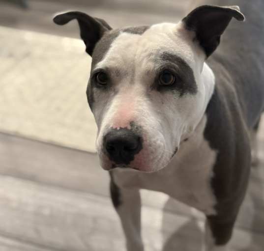 Photo of Jameson (pretty girl)