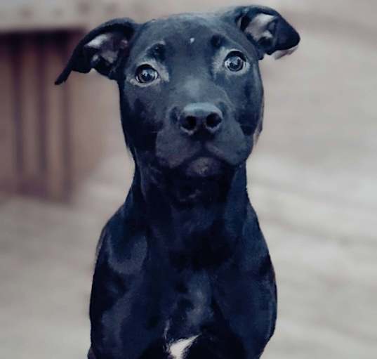 Photo of Hades