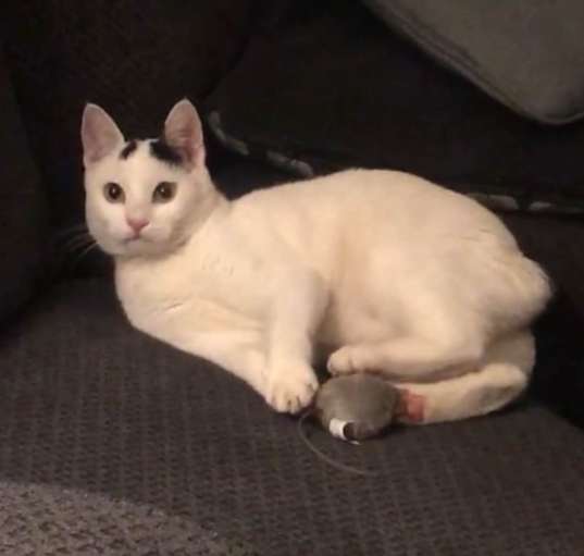 Photo of Estrella