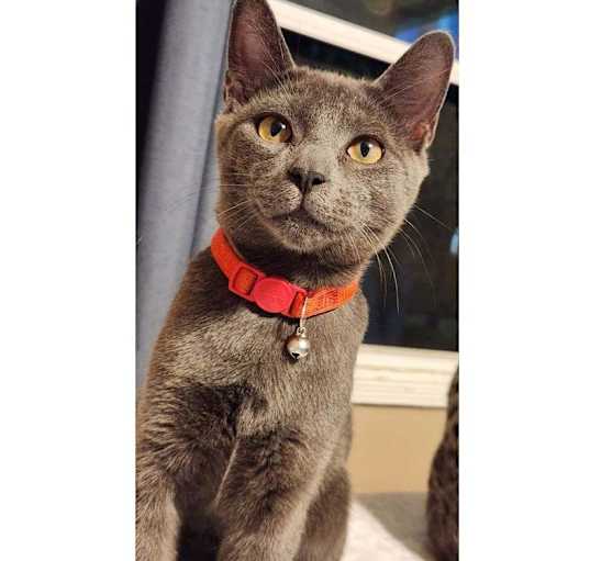 Photo of FINN
