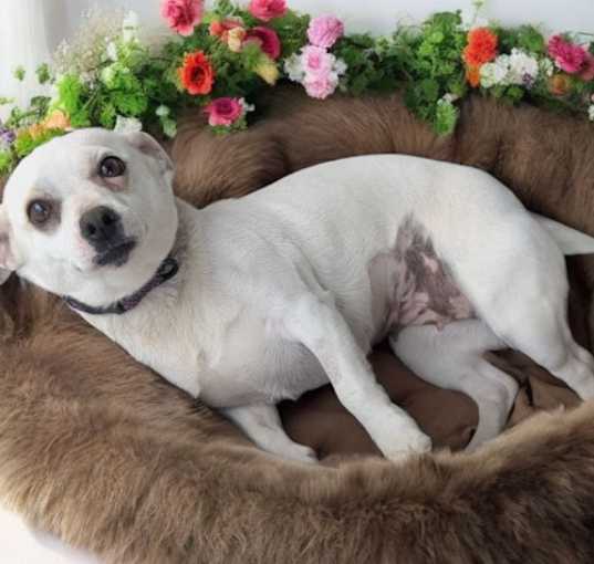 Photo of Chloe