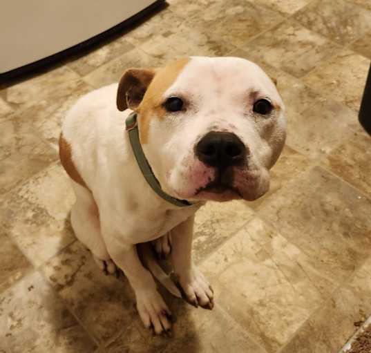 Photo of Jace