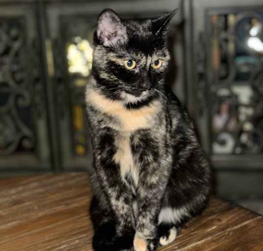 Photo of Charlee Rae
