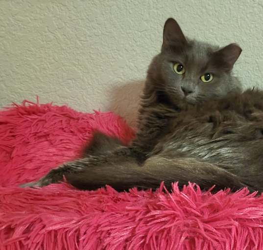 Photo of Clara