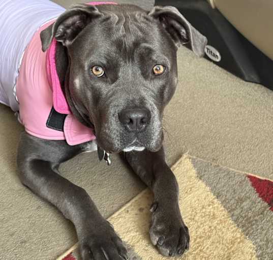 Photo of Athena