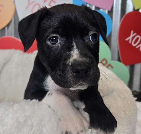 Photo of Bumble