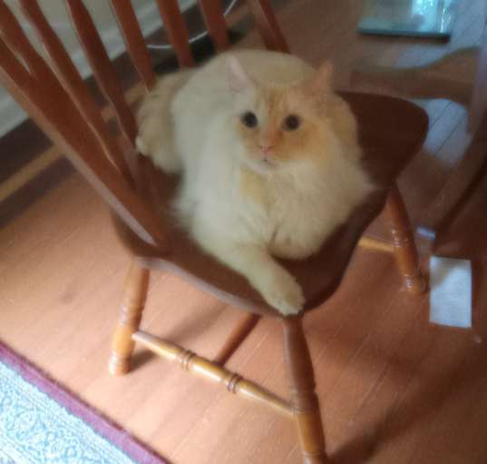 Photo of Vinnie