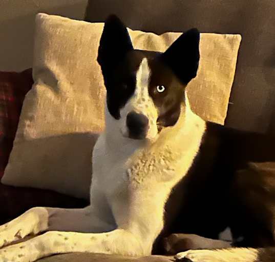 Photo of Baby Girl
