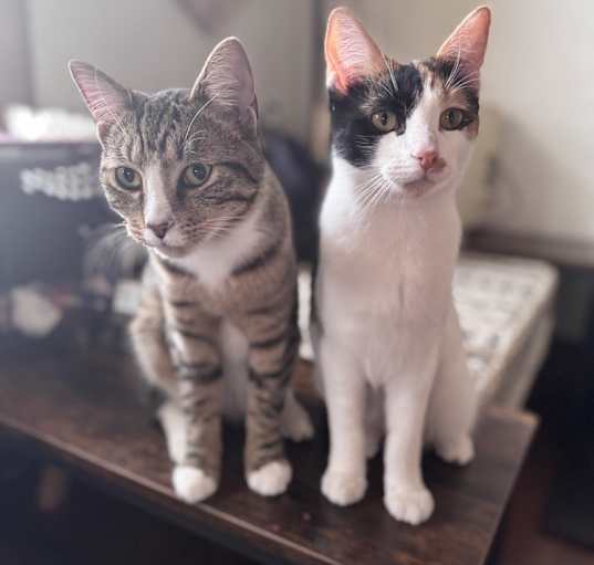 Photo of Mary and Jacob